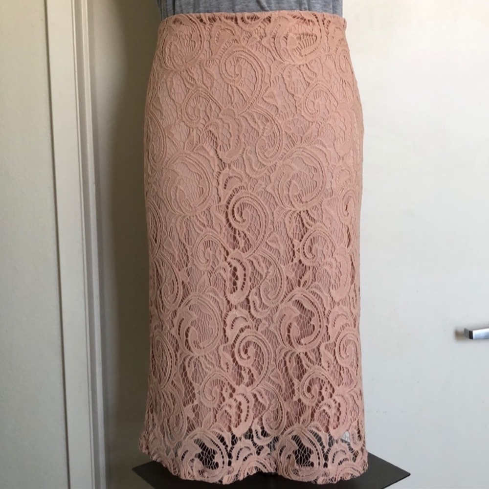 Adrianna Papell Blush Pink Pencil Skirt -